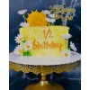 Birthday Cake (13)